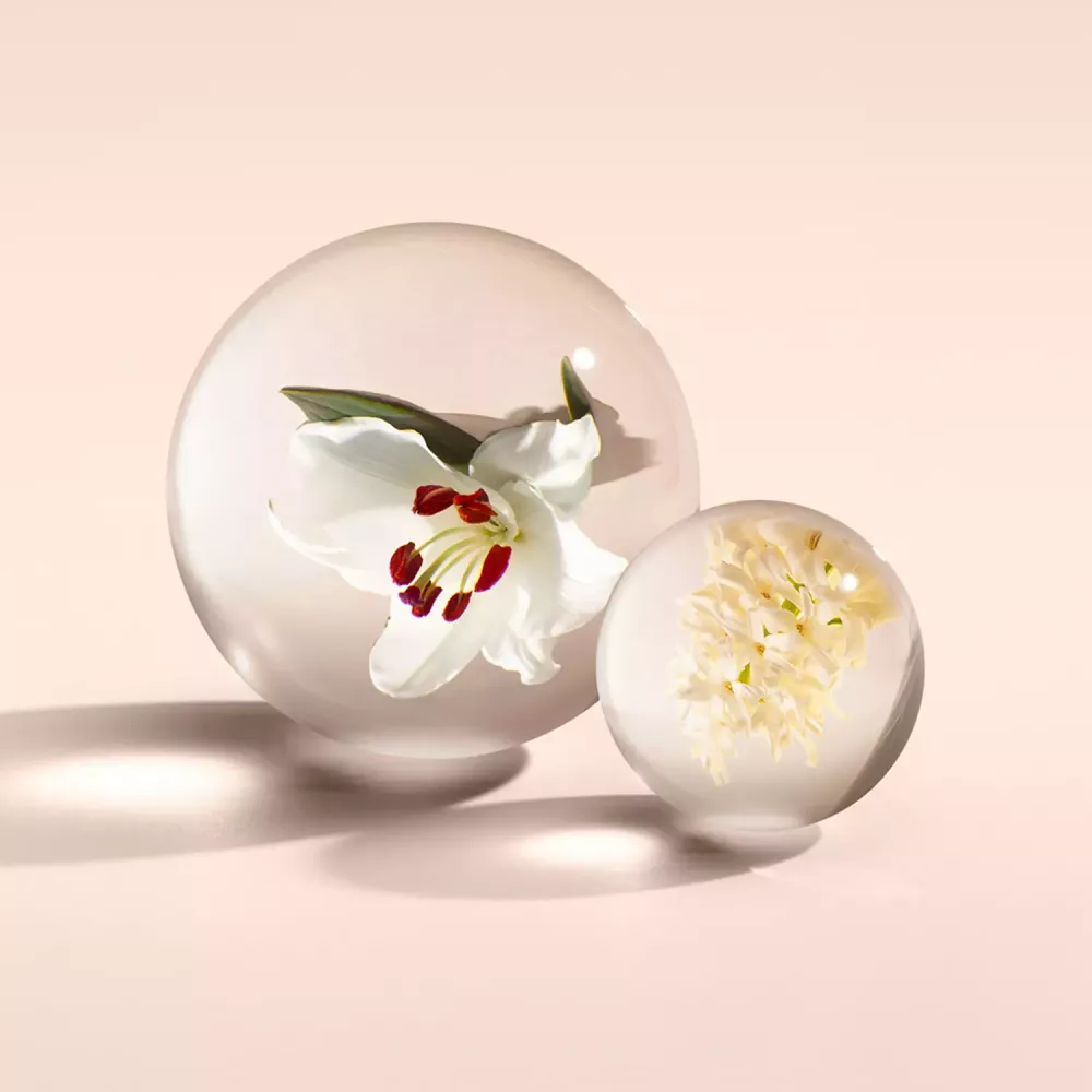 Heavenly gingerlily 2025 eau de toilette
